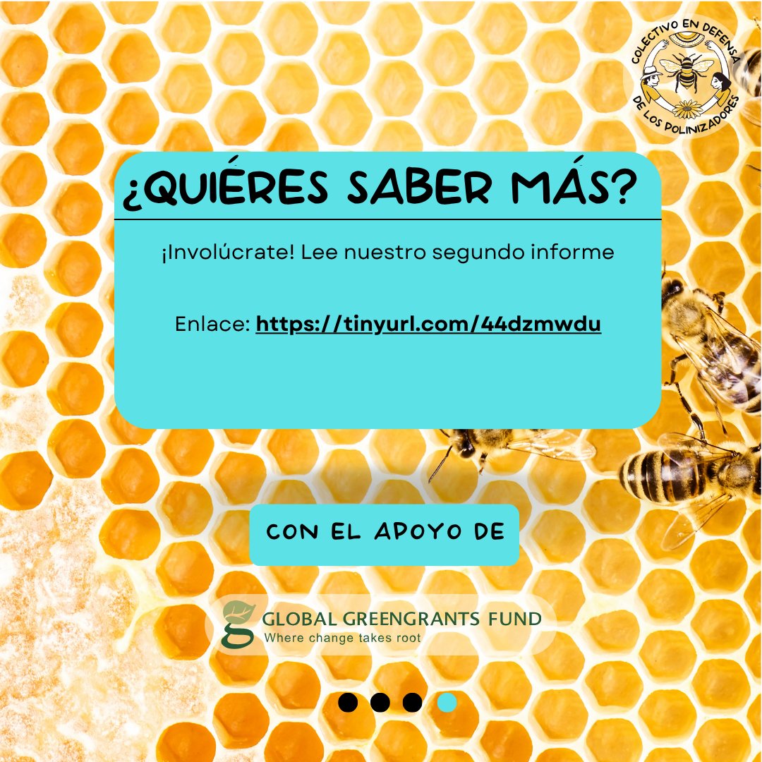 🐝🌾 ¿Para qué un Sistema Participativo de Garantía para la Apicultura?
Una herramienta para enfrentar el colapso de las colonias a través del cuidado integral de las personas, naturaleza y organización social.
#Abejayoteelijo