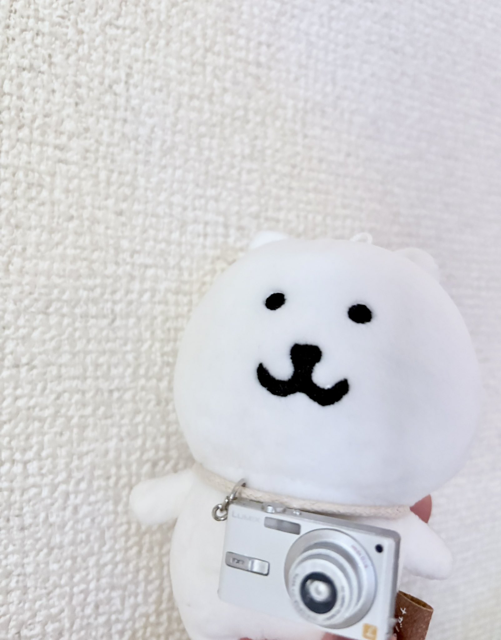 くまつな⭐︎ ひとりごつくま on X: 