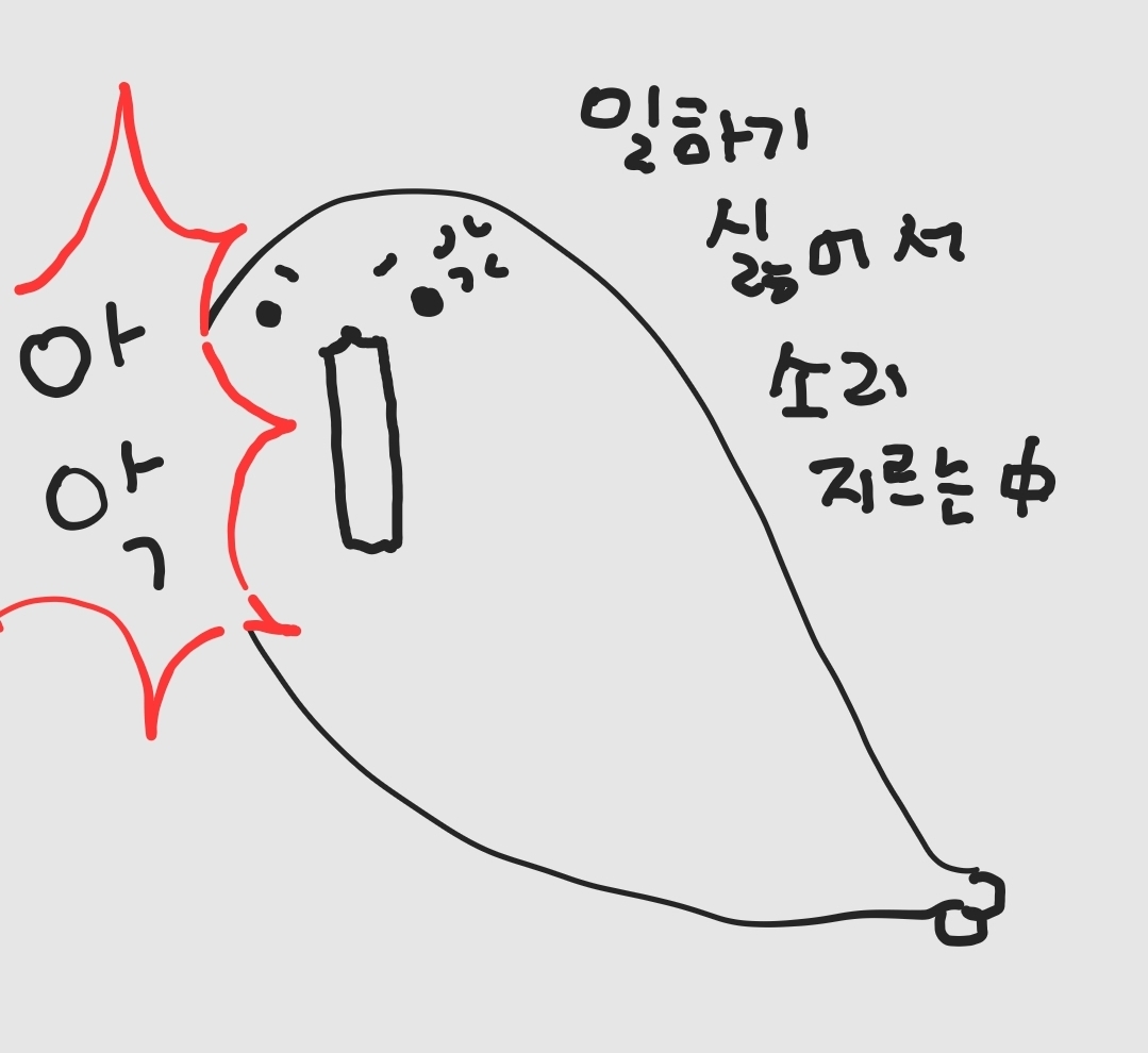 채랑비 tweet media