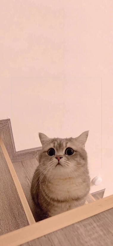 HA3_DJ360's tweet photo. 😼🍓Today I just want to feel enough🖨859618 https://t.co/SWitZdtW5K