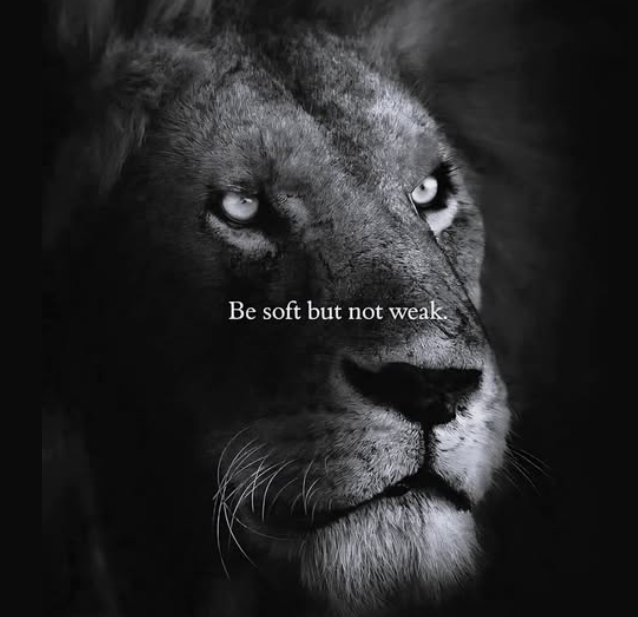 sarah_7574's tweet image. #CommandRespect
#RuleSoftly