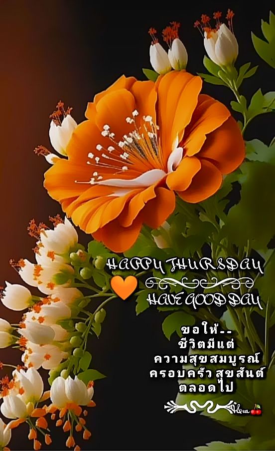 Niran Thipdararat tweet media