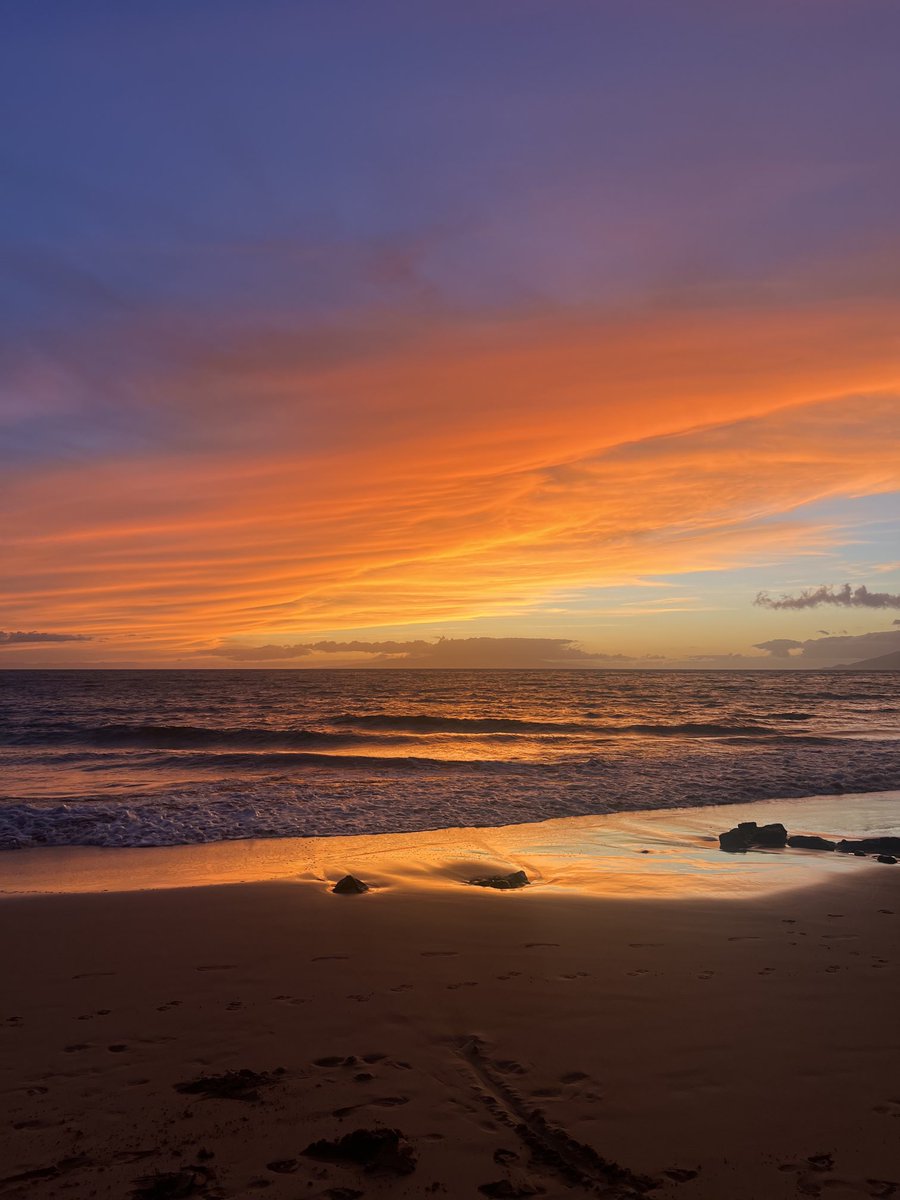 Loup Noir (@liquidalgorithm) on Twitter photo 