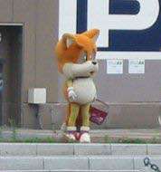 He looks like a lost puppy