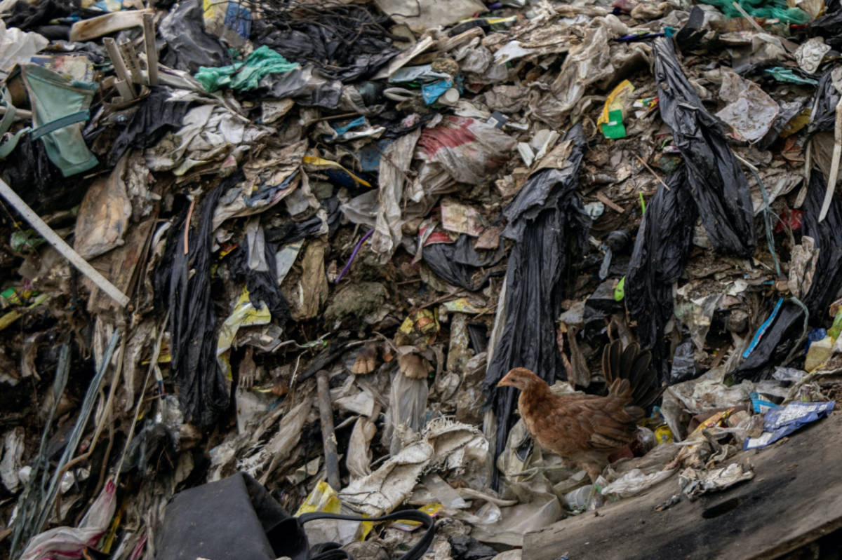 Trump administration memo urges countries to reject plastic production caps in UN treaty <a href="/sightmagazine/">Sight Magazine</a>  #UNplasticstreaty #plasticspollution #plasticstreaty #US #DonaldTrump #USStateDepartment #plastics 

sightmagazine.com.au/news/trump-adm…