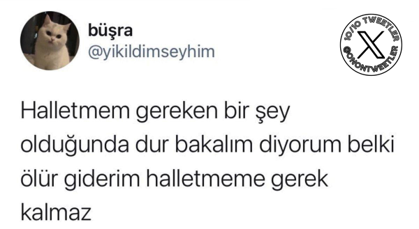 Bagimsiztaraf's tweet photo. https://t.co/KtLeNDvlQ3