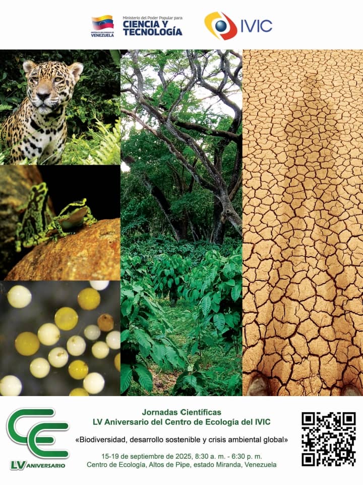 instagram.com/p/DNCUP5Qsqyl/…