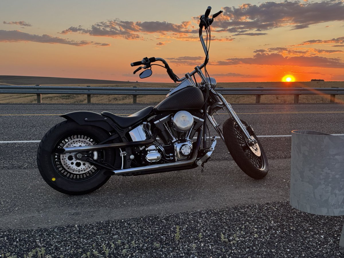 Cody1550's tweet photo. One year ago I  broke both legs and lost everything but this ol girl keeps me kicking ! #Gofastdontdie   #rollnsolo #broken #springer https://t.co/JU1680leJ1