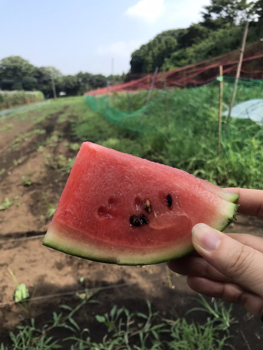 森口 ちゅんこ tweet media