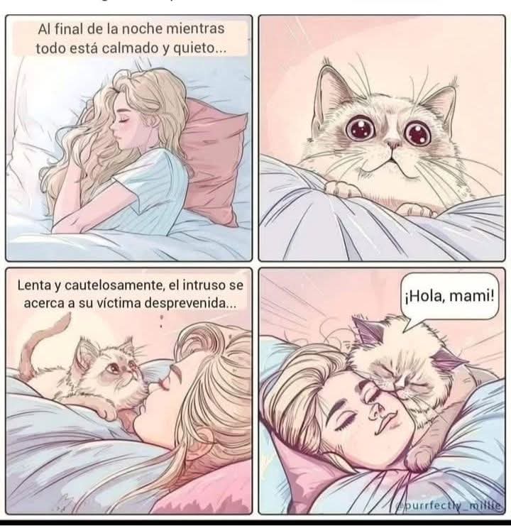 🌷REINA PELUSITA❤🎀15 FOREVER AND EVER🎀❤🌈🌠🌷 tweet media