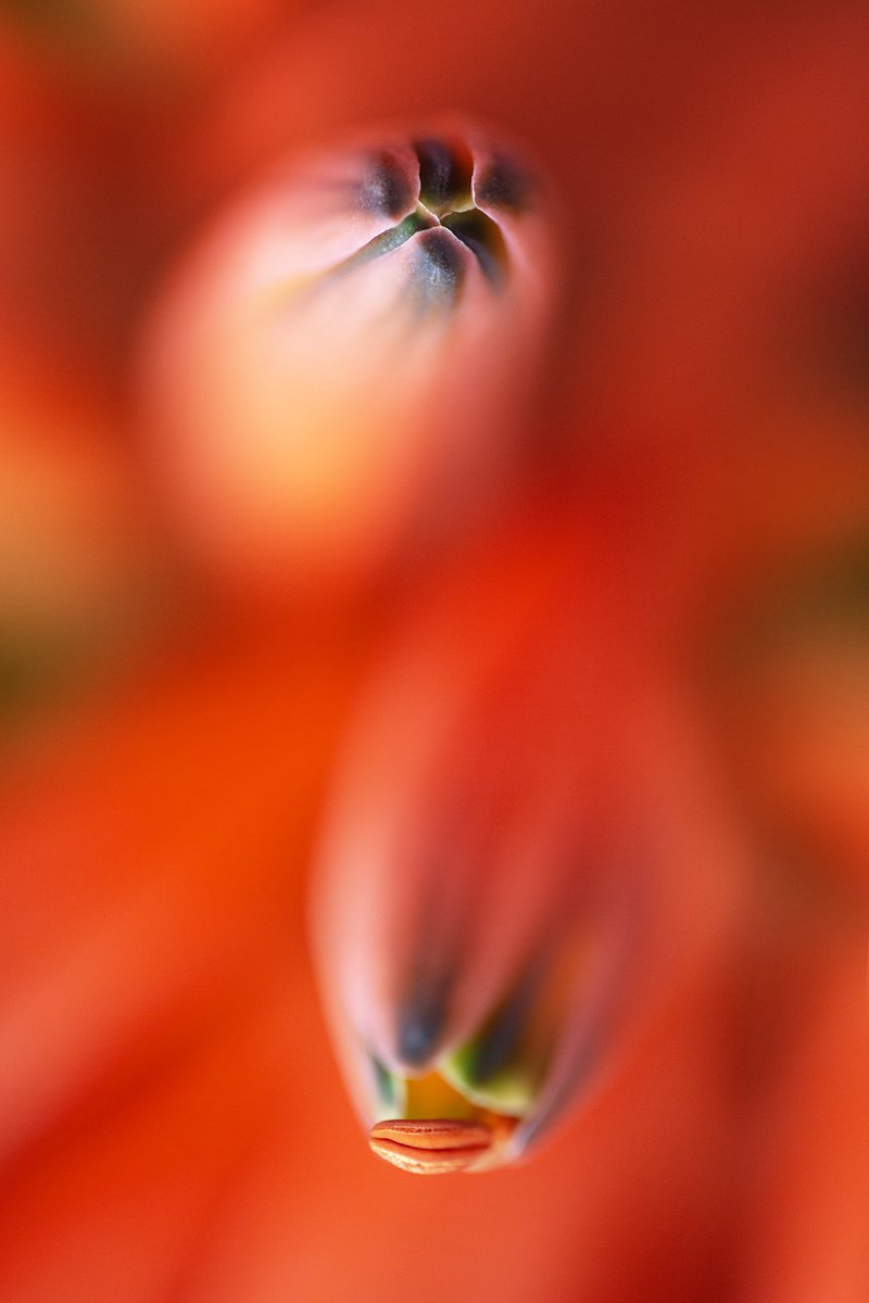 Photography never dies