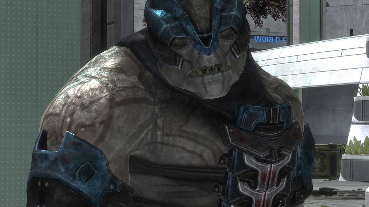 halo reach broots are just silly guys