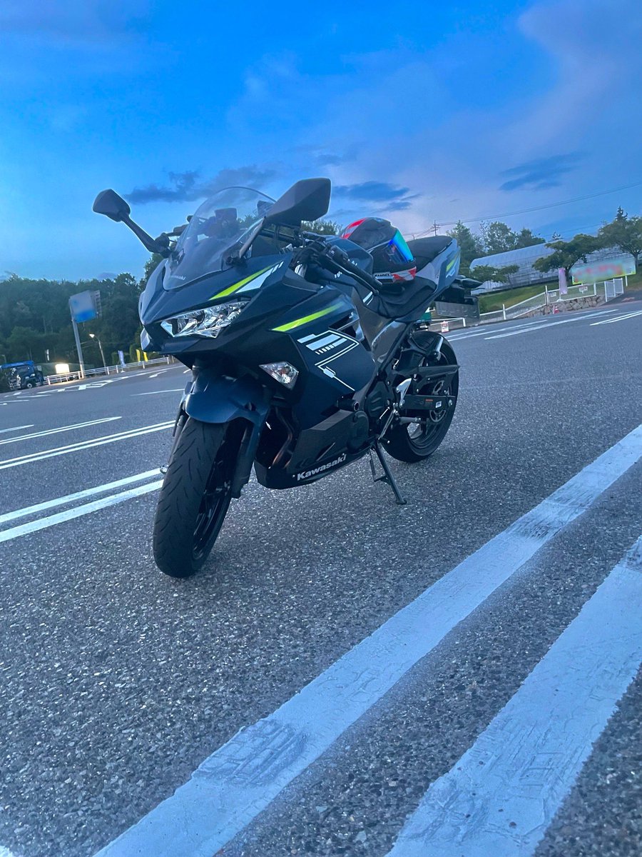 ぴょんぴょんrabbit tweet media