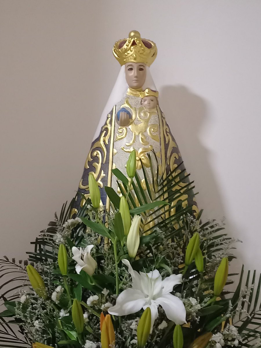 ✝️ Dios te salve, María, 
llena eres de gracia;
el Señor es contigo.
Bendita Tú eres 
entre todas las mujeres,
y bendito es el fruto de tu vientre, Jesús. 

Santa María, Madre de Dios,
ruega por nosotros, pecadores,
ahora y en la hora de nuestra muerte. Amén 🙏
