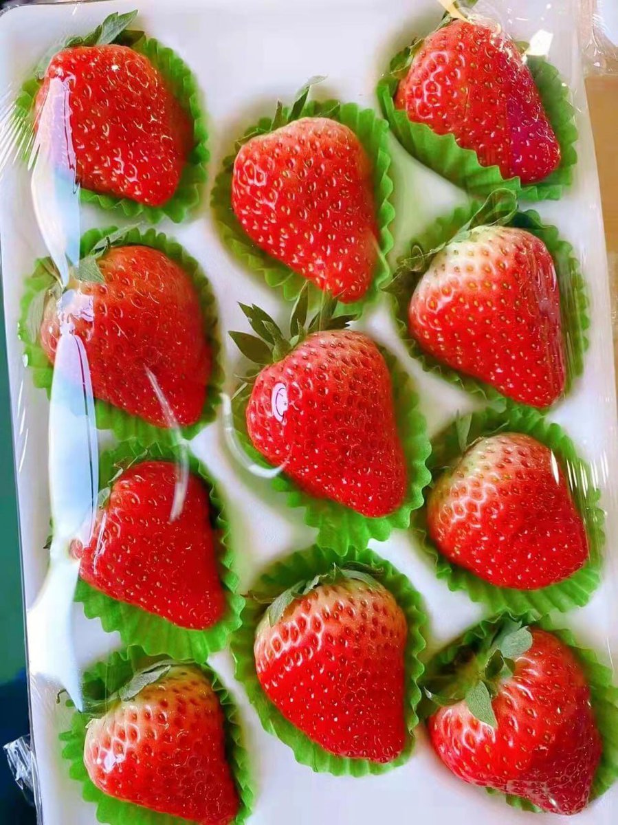 wans_pql's tweet image. 最も困難な日々も、最も平凡な日々も、黙々と努力を続けなさい。いつか、あなたは最も明るい場所に立ち、かつて憧れていた人生を歩むでしょう。