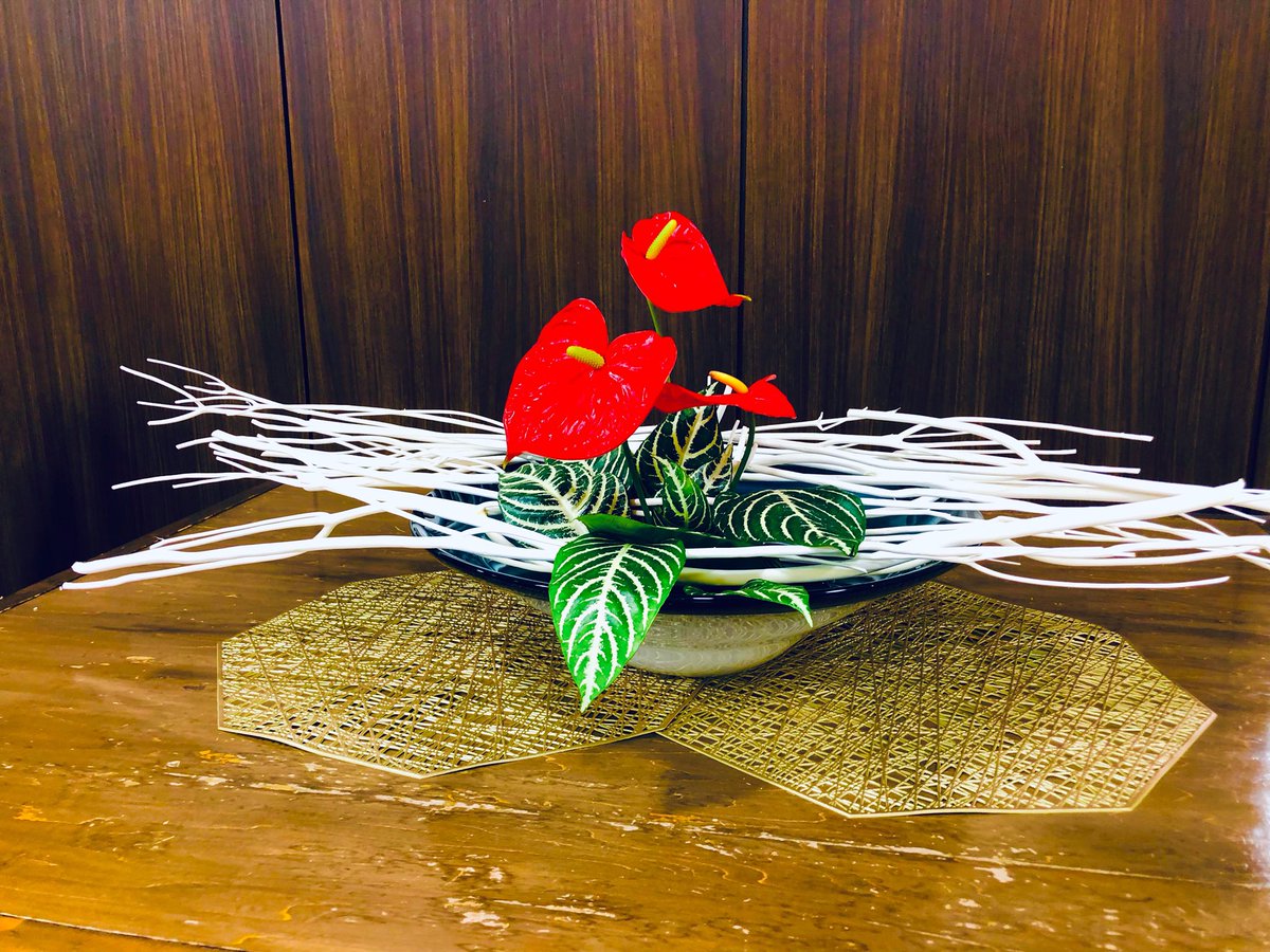 立秋になりました
暑さも若干和らいだかな🫧
燃える様な真紅のアンスリューム❤️

#takashikatoh
#actor
#tagheuer
#miffy
#instagram
#instagramer
#生花
#華道
#八代古流
#アンスリューム
#真紅
#立秋
#flower
#flowers
#anthurium
#rouges
#burrn
#burning