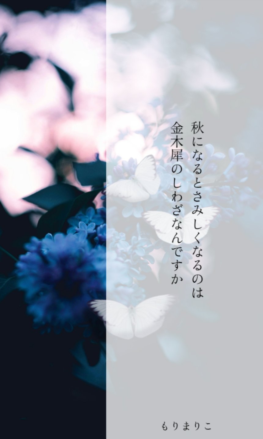 ゼロの紙／もりまりこ 短歌始めました (@zeronokamides) / X