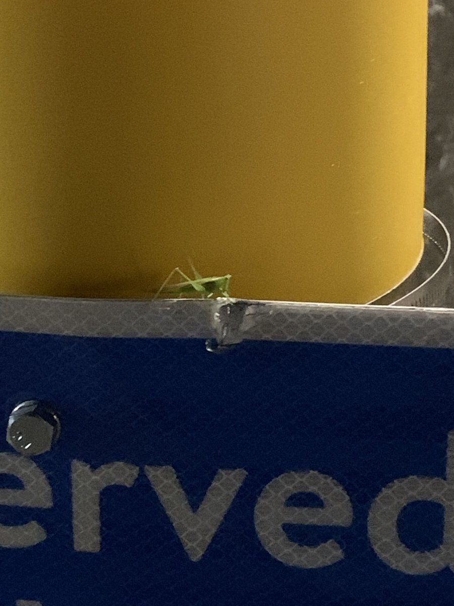 Fox Games tweet media