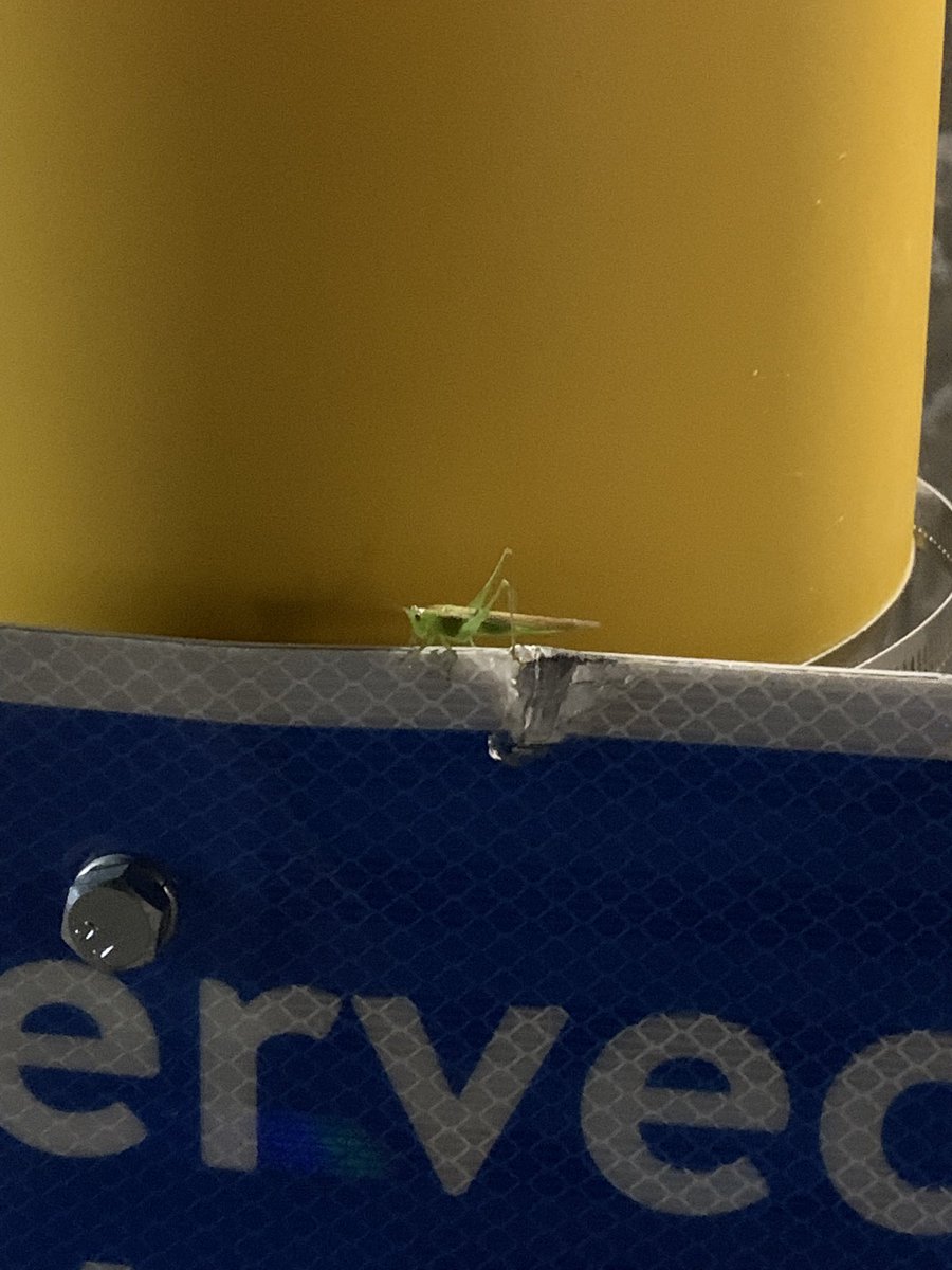 Fox Games tweet media