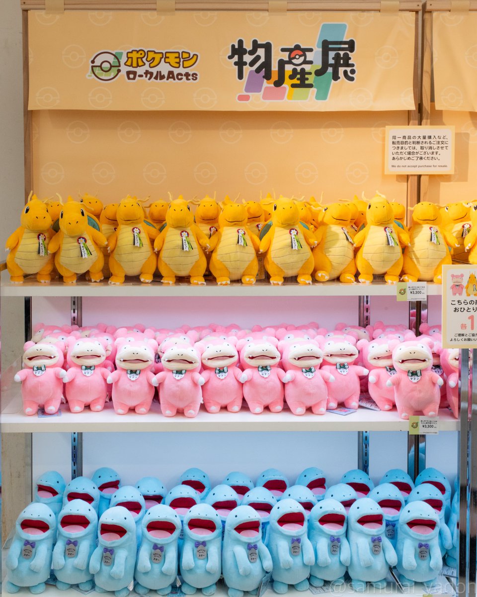 ポケモンローカル Acts 物産展 ぬいぐるみ まとめ売り 第2弾】ポケモンローカルActs 推しポケモンぬいぐるみの一般発売が決定