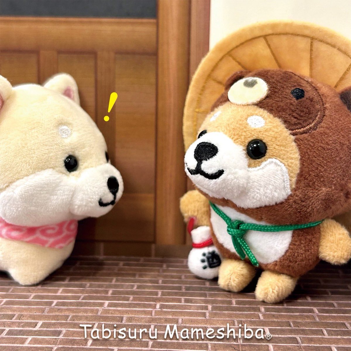 旅するマメしば6個セット④ Amazon.co.jp: 旅するマメしば マスコット クッション かわいい