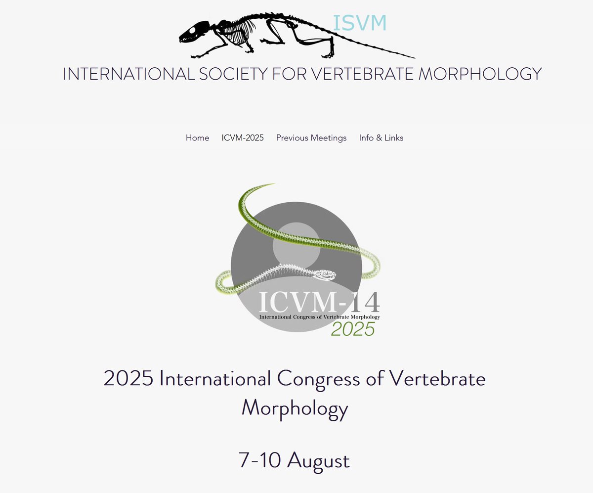 Shigehiro Kuraku🌊工樂 樹洋🍀 (@sighex) on Twitter photo Attending the virtual conference for vertebrate morphology #ICVM14 to explore modern genomics applications in tackling more diverse fascinating and emerging research questions.
#Squalomix
<a href="/NbrpMedakaOmix/">NBRP Medaka Informatics</a> <a href="/Squalomix4earth/">𝙎𝙦𝙪𝙖𝙡𝙤𝙢𝙞𝙭 - shark & ray genomics & beyond</a> Attending the virtual conference for vertebrate morphology #ICVM14 to explore modern genomics applications in tackling more diverse fascinating and emerging research questions.
#Squalomix
<a href="/NbrpMedakaOmix/">NBRP Medaka Informatics</a> <a href="/Squalomix4earth/">𝙎𝙦𝙪𝙖𝙡𝙤𝙢𝙞𝙭 - shark & ray genomics & beyond</a>