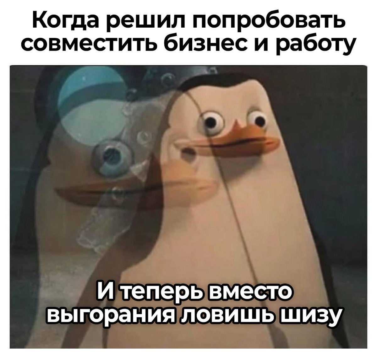 Модульбанк (@modulbank) on Twitter photo 