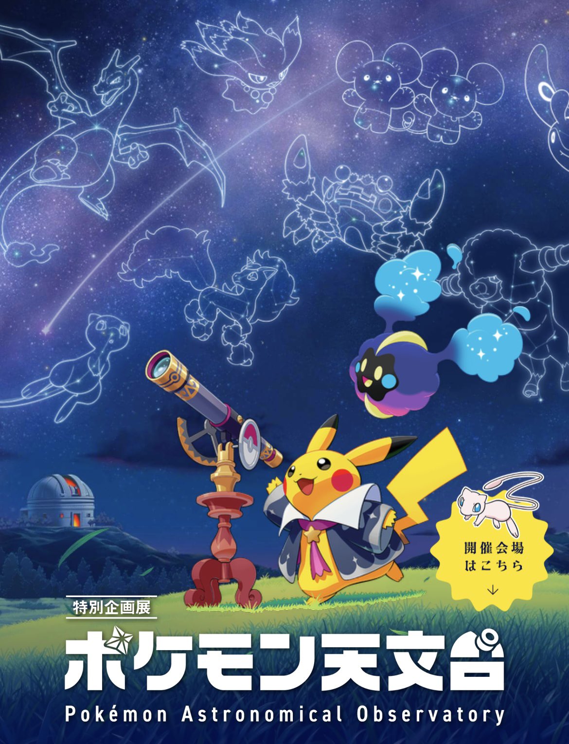 ポケモン - 天TEN テンヨー パズル ポケットモンスター ドレスアップポケモン 80