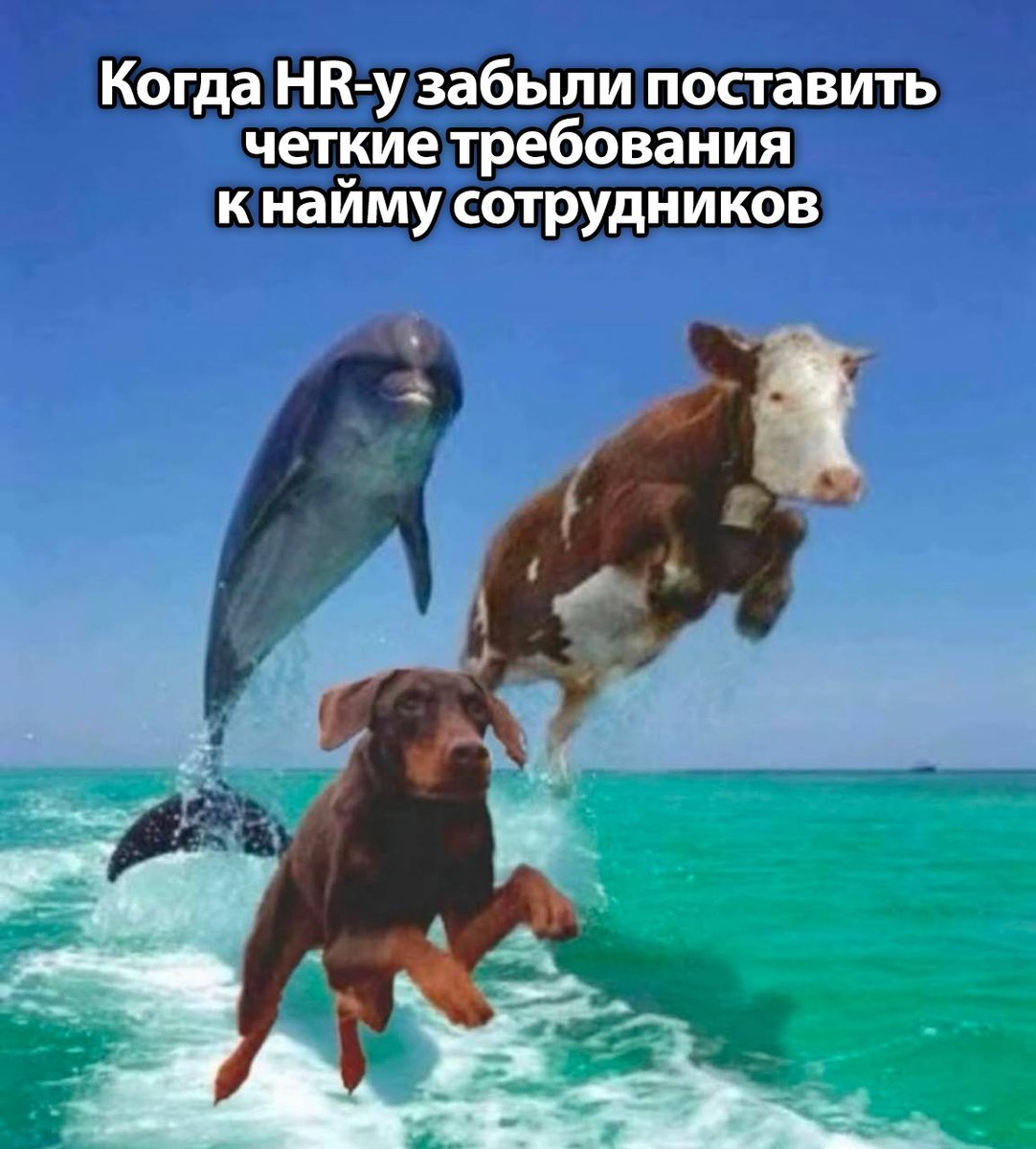 Модульбанк (@modulbank) on Twitter photo 