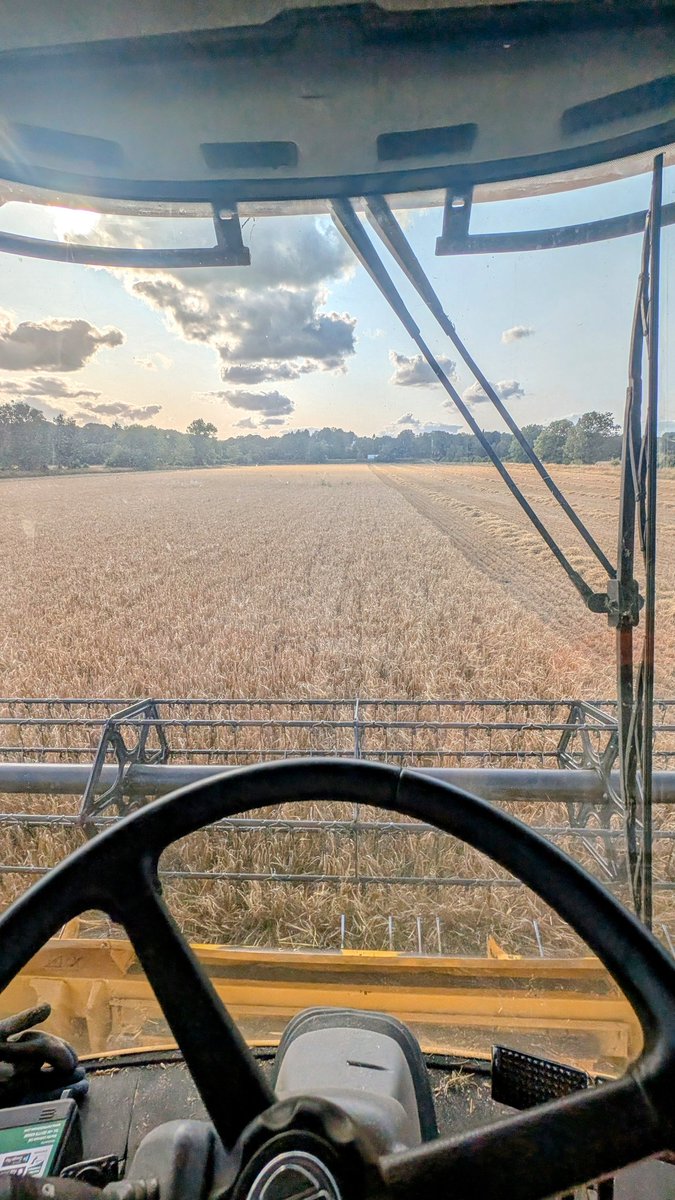 Just one field of Spring Beans left to combine &amp; we can burn the memory stick with the yield data &amp; consign 2025 to the history books.