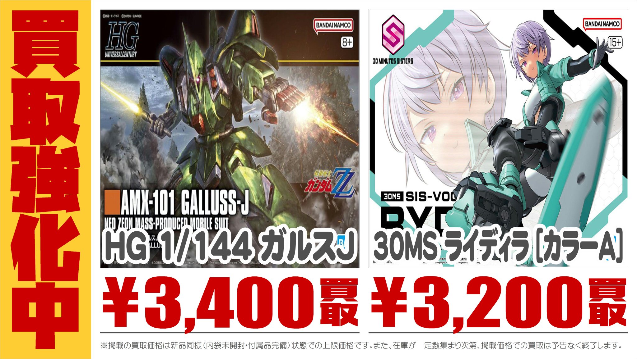 新品未開封 HGガルスJ & 30MSライディラ | HG(ハイグレード)