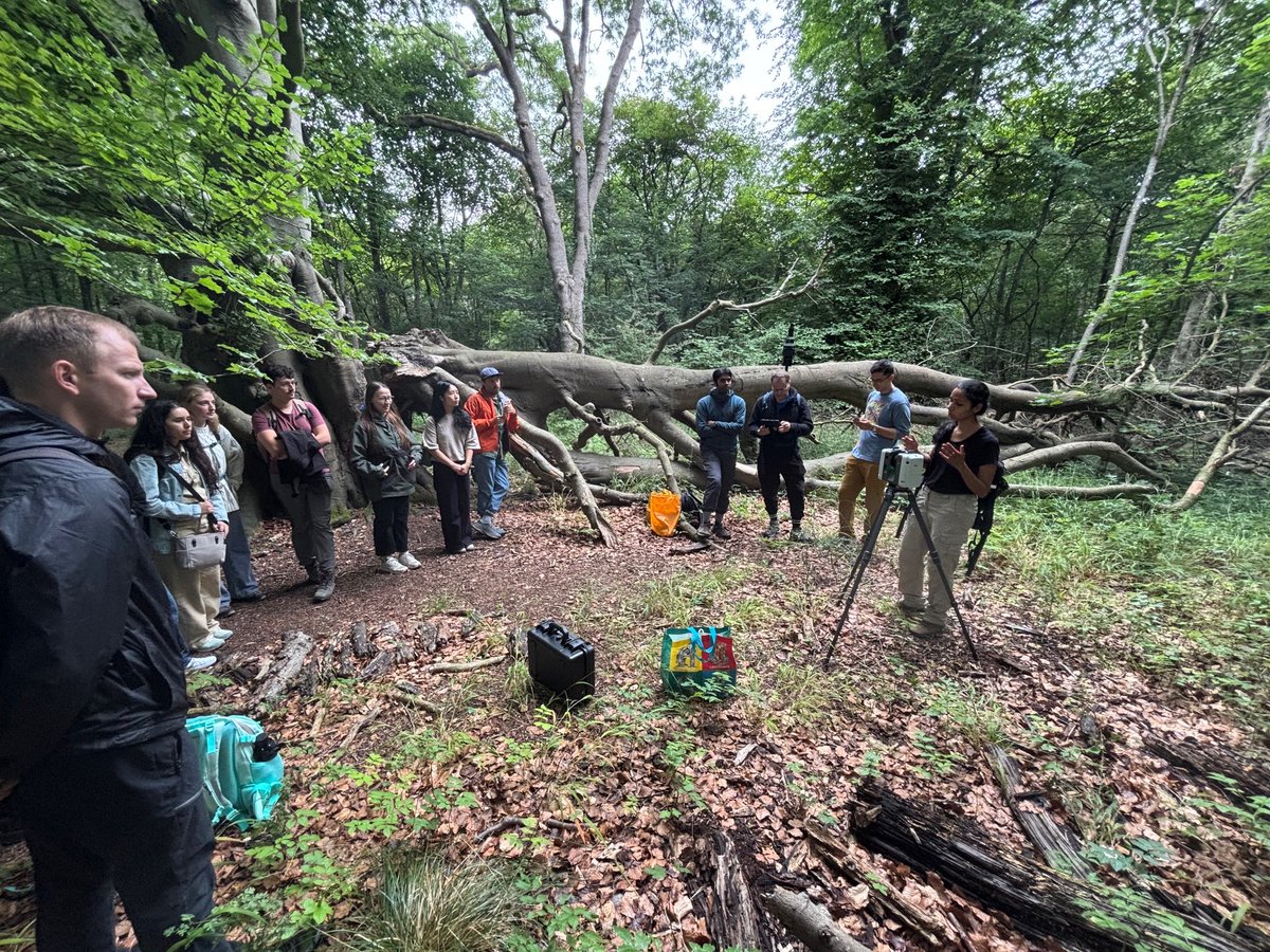 DigiForest Research Project tweet media