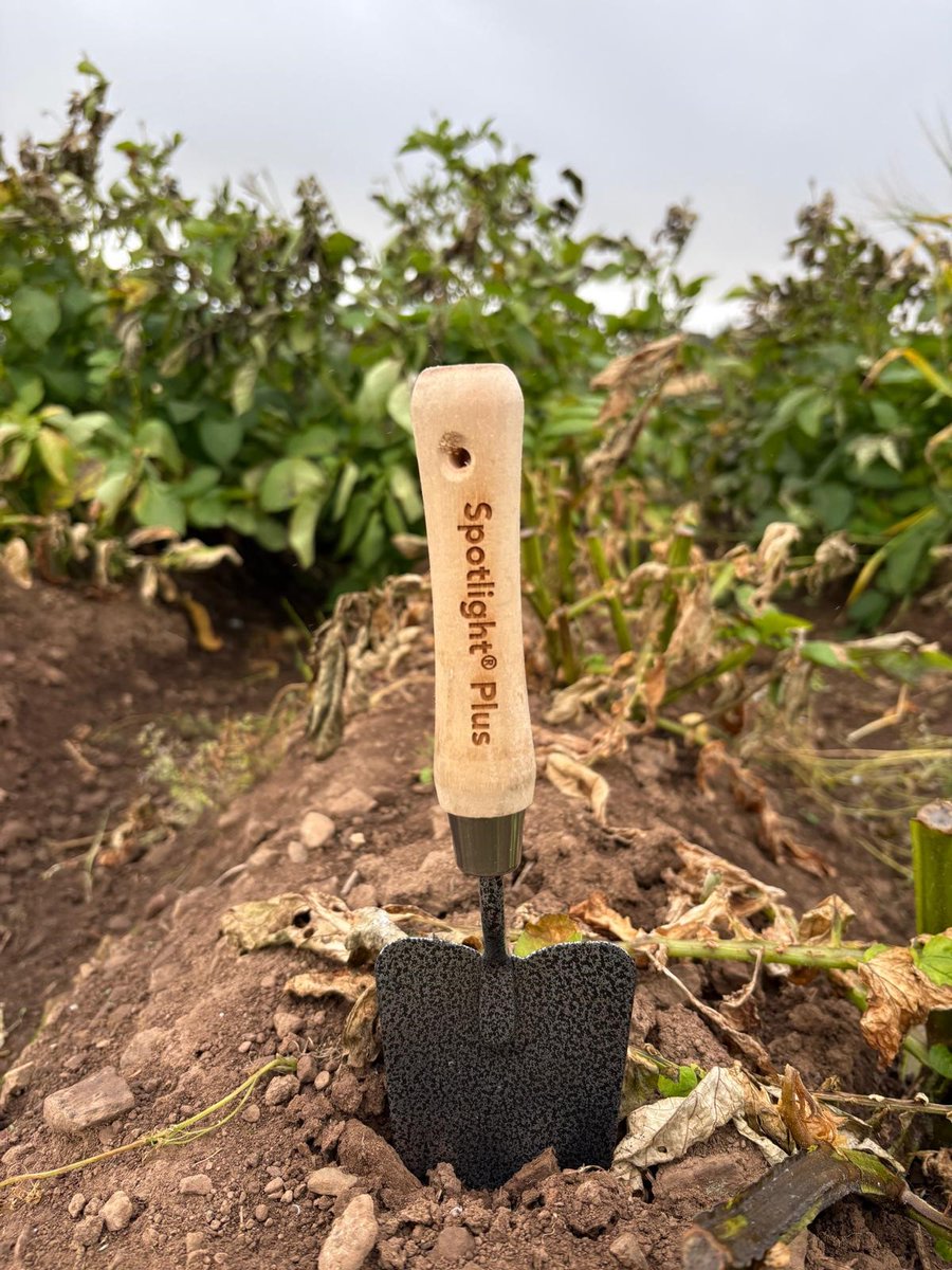 FMC Agro UK (@fmcagrouk) on Twitter photo We are all ready and set up at this years #PotatoesInPractice2025 🥔🥔🥔
We cant wait to see you 😃
<a href="/JamesHuttonInst/">James Hutton Institute</a> We are all ready and set up at this years #PotatoesInPractice2025 🥔🥔🥔
We cant wait to see you 😃
<a href="/JamesHuttonInst/">James Hutton Institute</a>