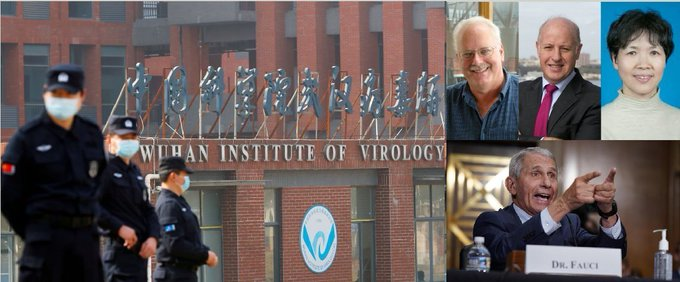 Gain-of function research on viral potential pandemic pathogens caused the COVID-19 pandemic, killing 20 million.

If not restricted, gain-of function research on viral potential pandemic pathogens will cause future pandemics and will kill millions more.