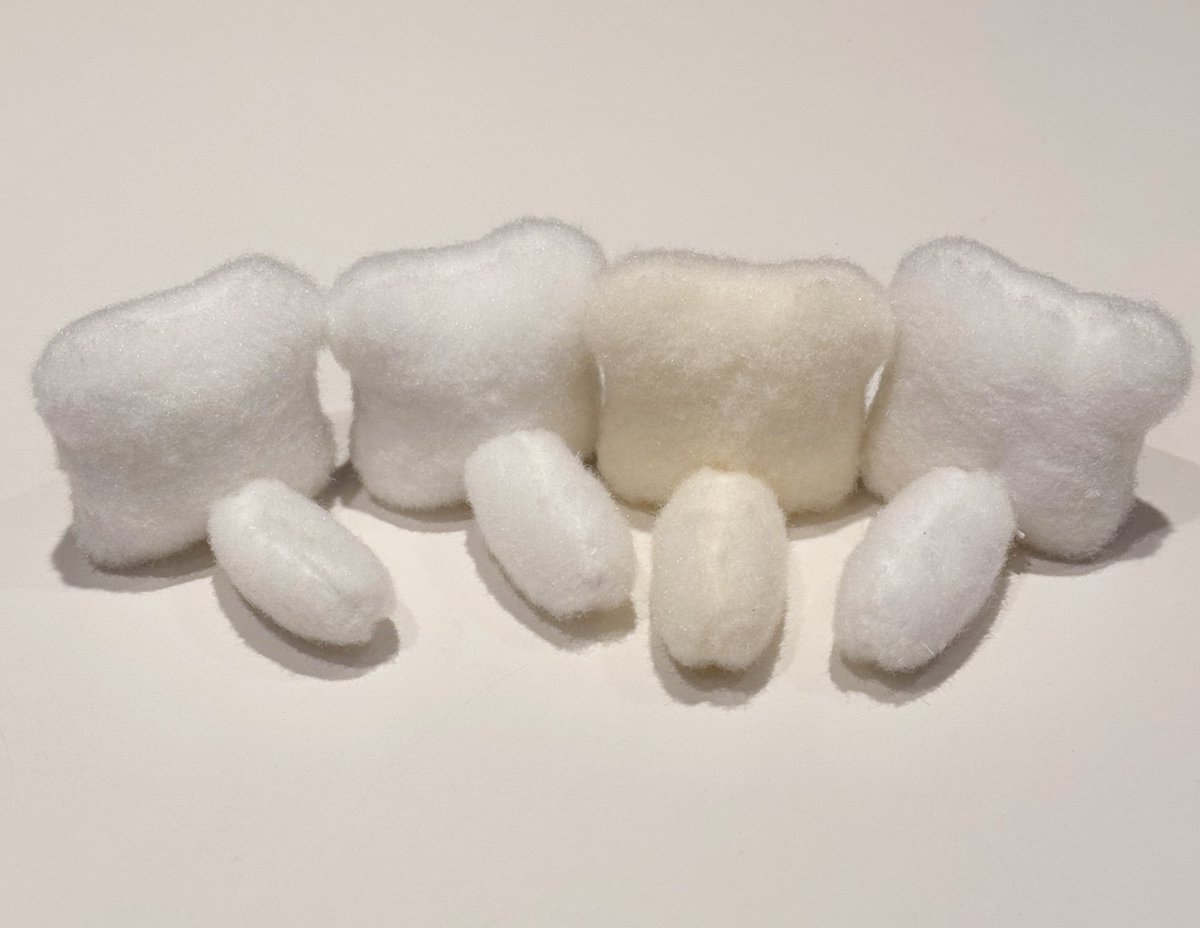 투표하면 좋은 가나디(?) 생길수도?!