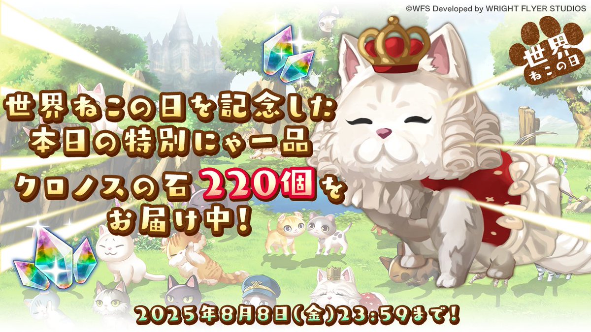 世界猫の日記念 本日限定！】 「ヤマネコの宅配便」にて、「本日の特別