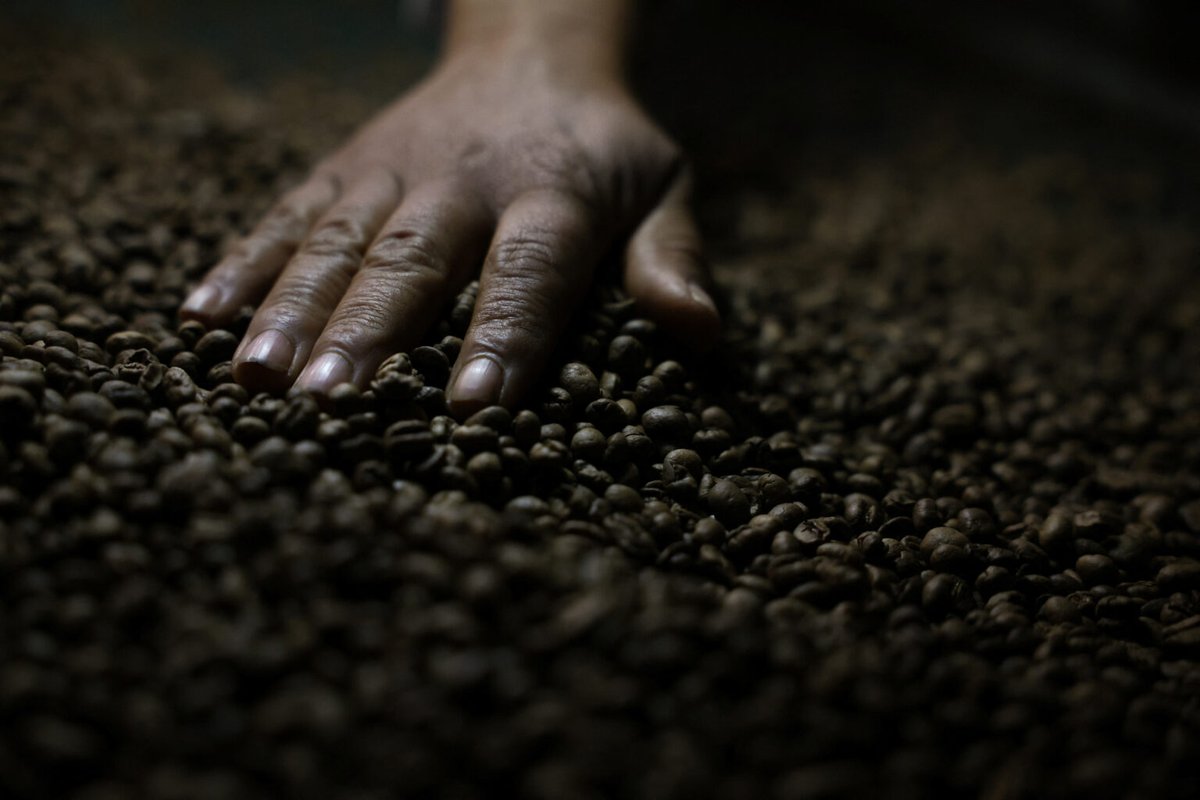 NO COFFEE IN THE U.S.
China has approved 183 new Brazilian coffee companies to export products to its vast domestic market.

The measure, which is a boon for local exporters following the U.S. government's announcement of heavy tariffs on Brazilian coffee and other products, went