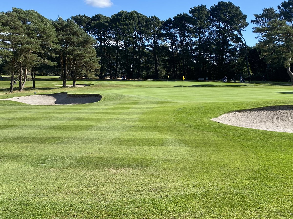 Andy Windsor PGA (@windsor_golf) on Twitter photo We have a great field of 48 boys & girls in our <a href="/DCGU_Golf/">Dorset Golf</a> Junior OOM & <a href="/JustinRose99/">Justin ROSE</a> <a href="/TelegraphJunior/">TelegraphJuniorGolf</a> Junior Open today 🤩⛳️
Big thanks to <a href="/grazztec/">Graham Hastie</a> and his team, the course is in fantastic condition and we hope everyone enjoys the day 👍 We have a great field of 48 boys & girls in our <a href="/DCGU_Golf/">Dorset Golf</a> Junior OOM & <a href="/JustinRose99/">Justin ROSE</a> <a href="/TelegraphJunior/">TelegraphJuniorGolf</a> Junior Open today 🤩⛳️
Big thanks to <a href="/grazztec/">Graham Hastie</a> and his team, the course is in fantastic condition and we hope everyone enjoys the day 👍