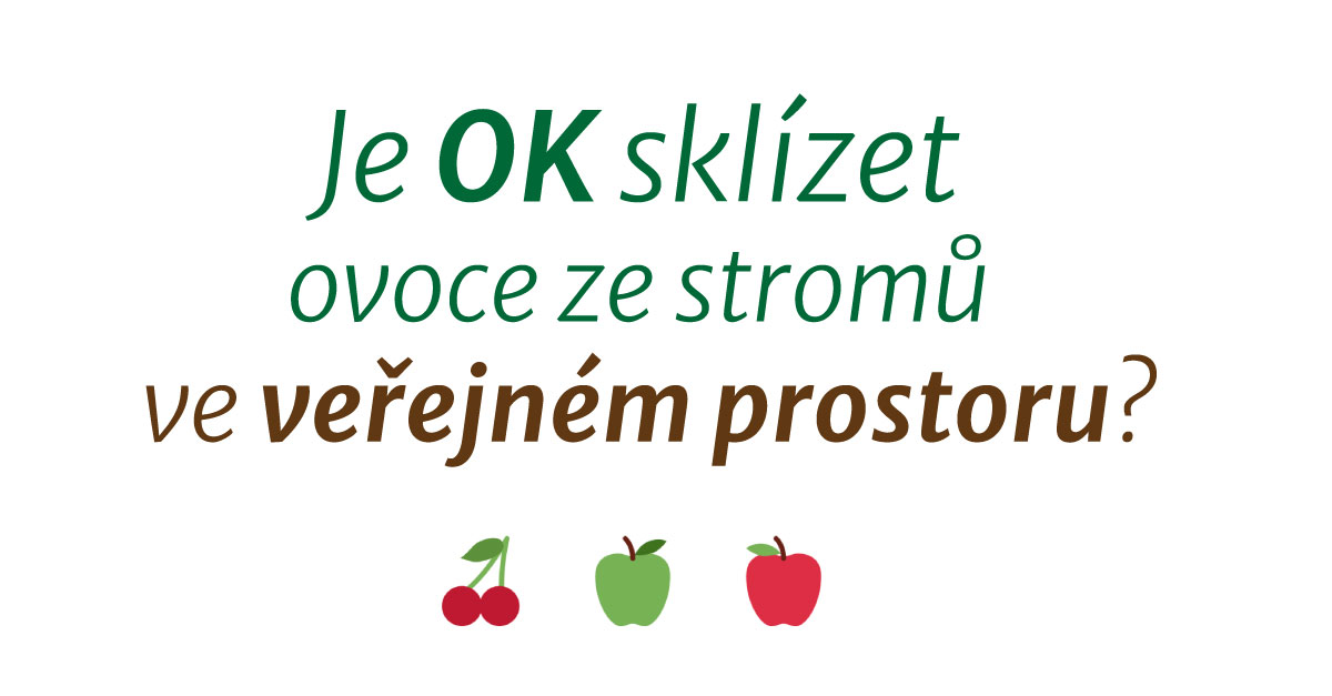 Honza Kačer tweet media