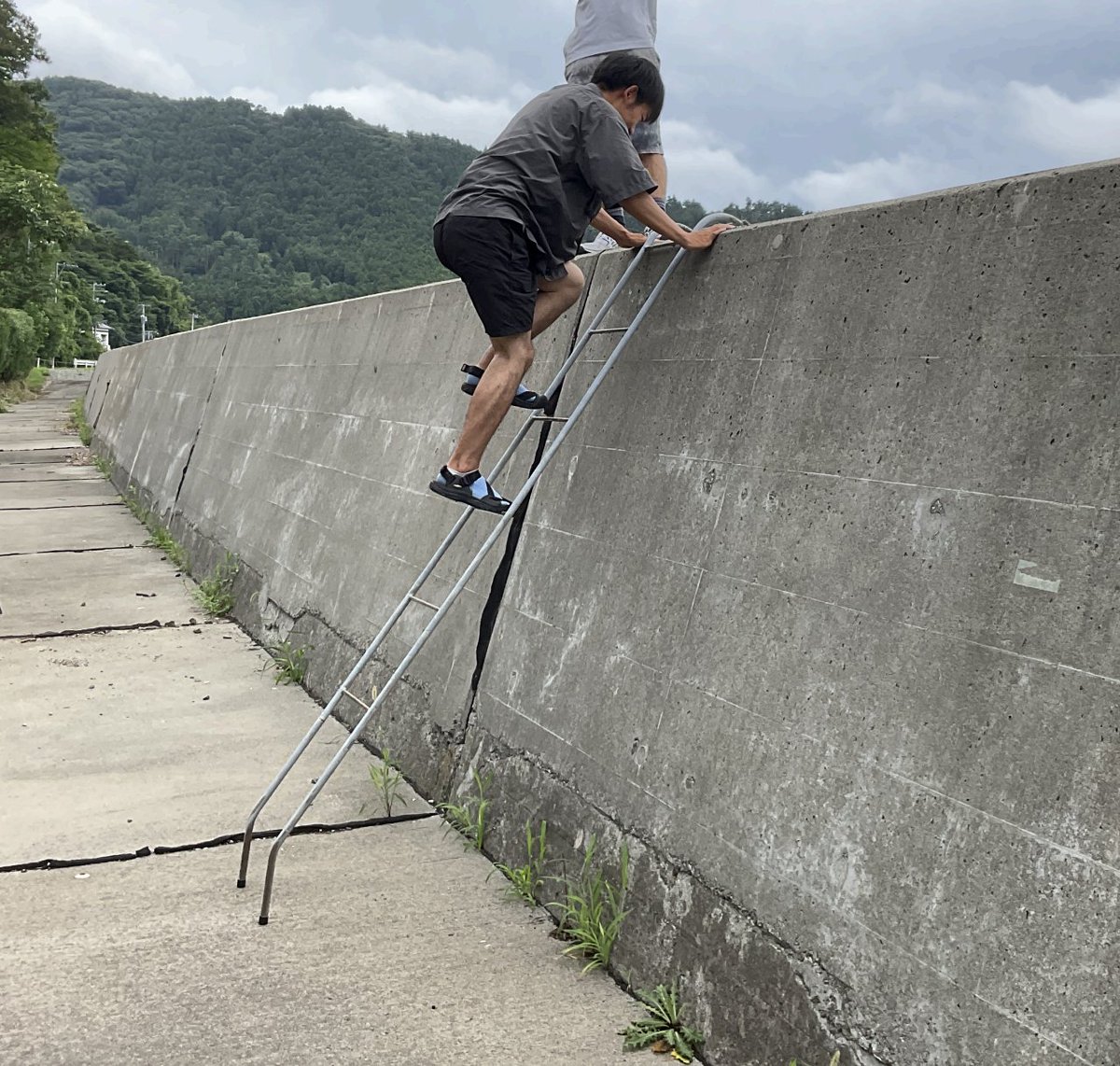 菊池駿一@まるもり tweet media