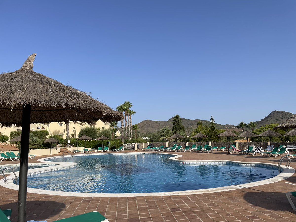 VINNY HALSALL tweet media