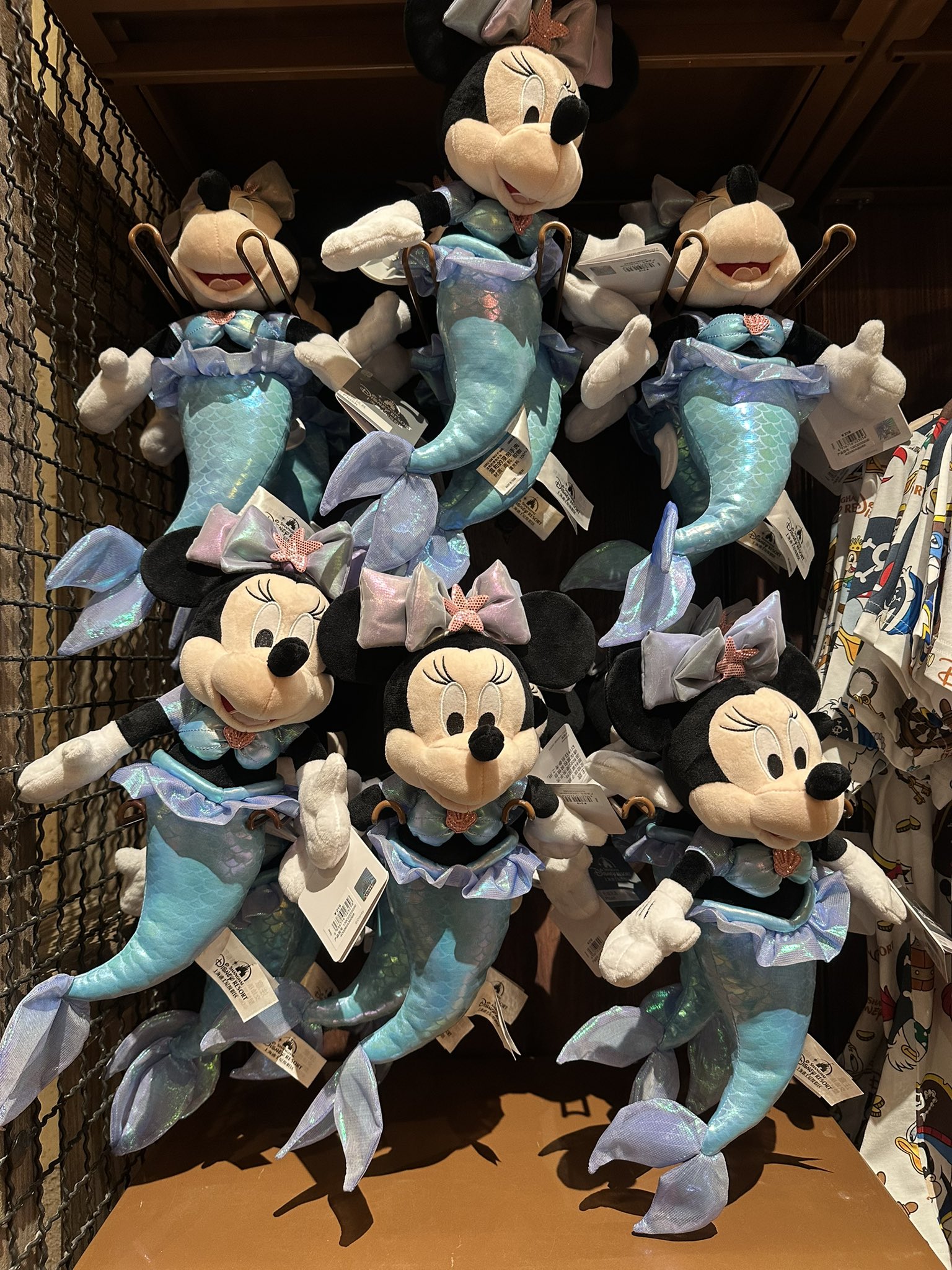 【TDRファン必見/非売品】PASS on the DREAM TDRファン必見/非売品】PASS on the DREAM