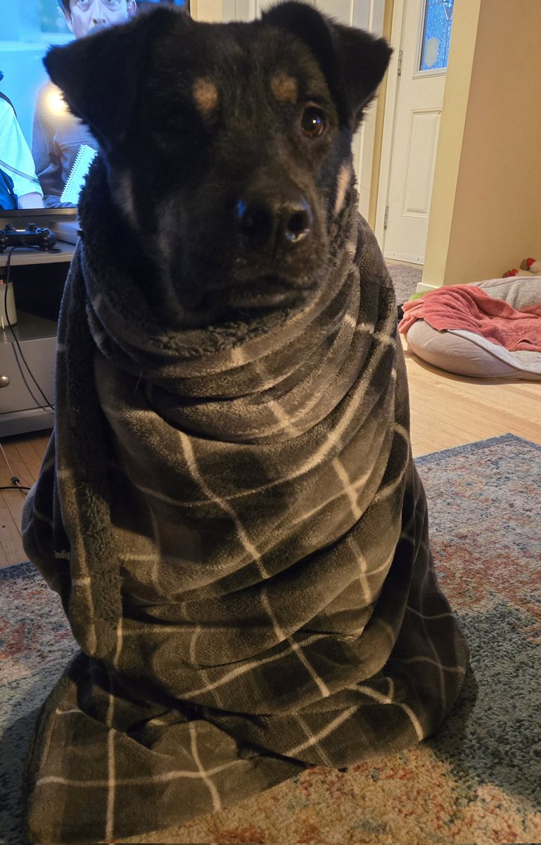 Tony is auditioning to be in one of the upcoming Dune sequels

I think this one's called Dog Emperor of Dune