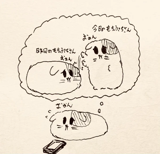 毎回買う時葛藤はしてるもちぷちさん🐱 