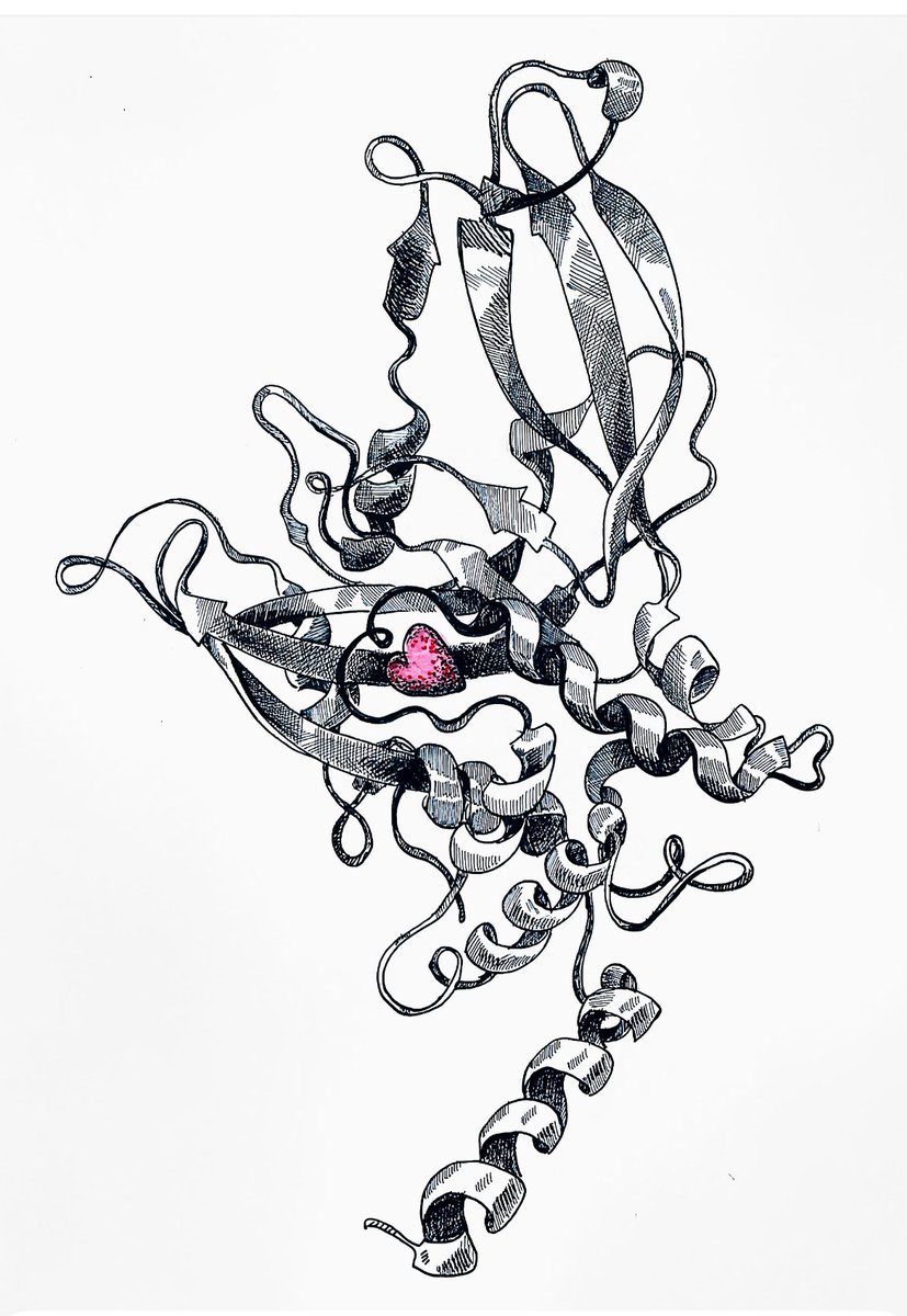 New drawing!
Ubiquitin-specific protease 7 (pdb 4M5W)
It’s been a while since I last drew anything. Forgot how fun it is.