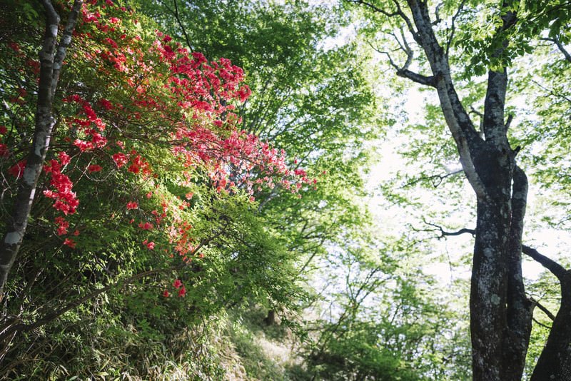 伊勢白山道さんの記事をご紹介致します🙇🍡#ライブドアブログ
今日からを油断せずに静観します

⬇️記事はコチラ⬇️
isehakusandou.blog.jp/archives/59344…