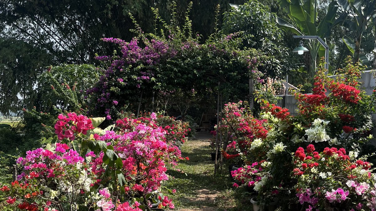 my sister took a wrong turn and I was a bit mad—until it led us to a roadside flower garden. a reminder that sometimes, redirection leads to something unexpectedly beautiful.