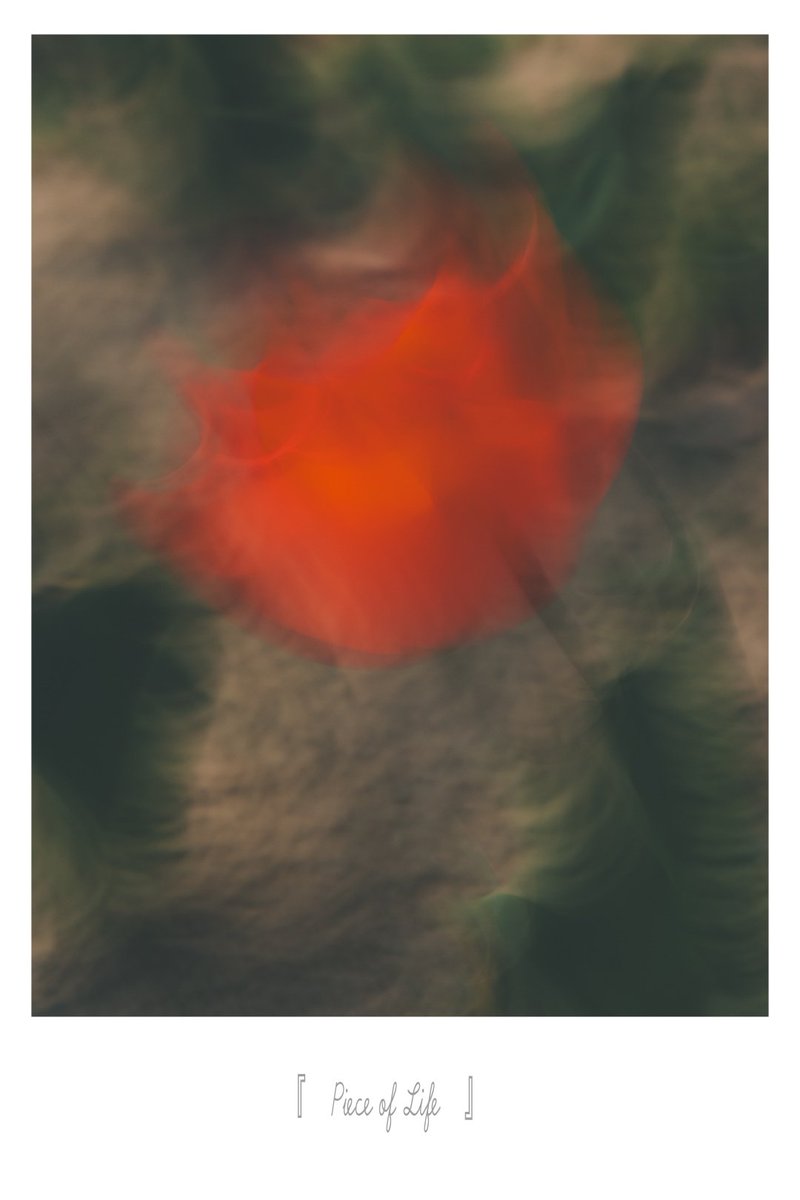 ekuni_potore's tweet photo. .
.
『　Piece of Life　』
.
.
□ 未だに"被写体ブレ"や"手ブレ"でピントが曖昧になるのは大嫌いである
.
□ しかし、この1年ぐらいで意図的に"ブラす"のは表現として有りだと少しだけ考えが寛容になった
.
□ まだ、そこに意味や意図がないのが悔しい
.
#Pieceoflife
#ブレ https://t.co/kz577Rwcwi