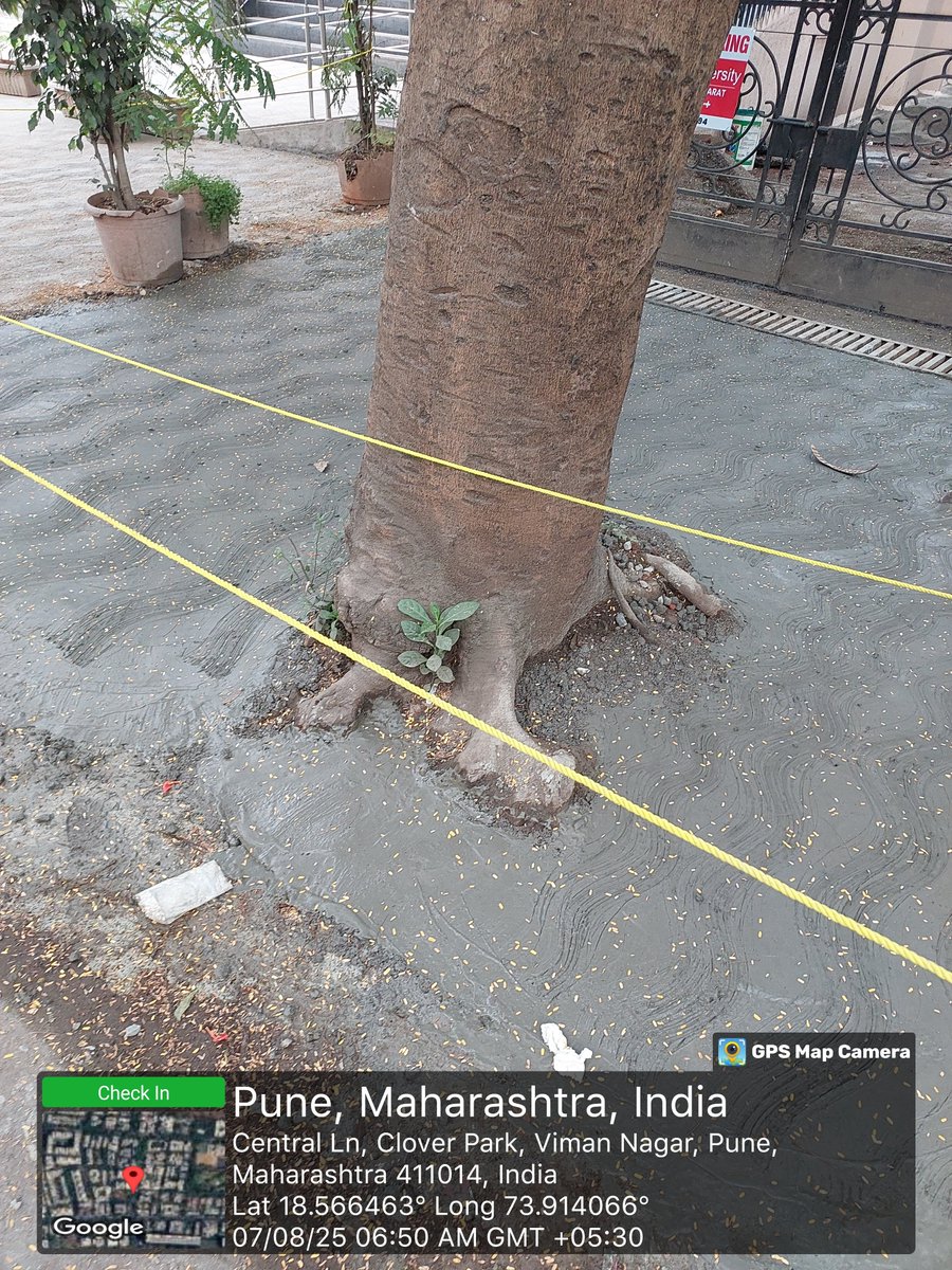 <a href="/PMCPune/">PMC Care</a> <a href="/navalMH/">Naval Kishore Ram</a> can you please remove concrete here around the tree.