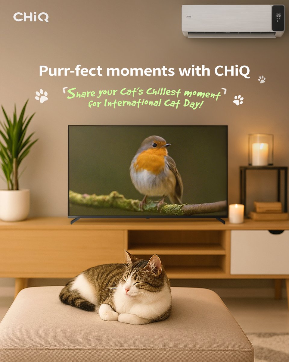 GlobalCHiQ's tweet image. Celebrate International Cat Day with CHiQ!
What does a purr-fect moment look like? 🐱💤 
Share your adorable kitty&apos;s cozy moments with us!

#CHiQ #SmartwithStyle #InternationalCatDay